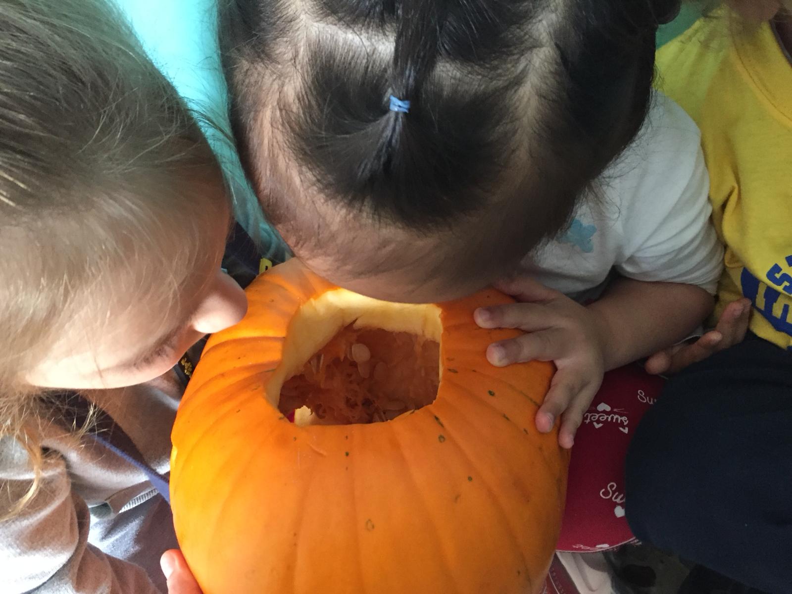 Bambino della Scuola dell'Infanzia Madonna della Villa durante il pasto con cura per l'alimentazione Bambino della Scuola dell'Infanzia Madonna della Villa durante il pasto con cura per l'alimentazione